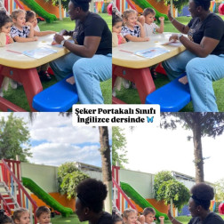 🌟 Öğrenme Dolu Bir Gün