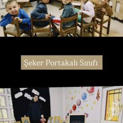 🌳 Birlikte Hareket Ediyoruz