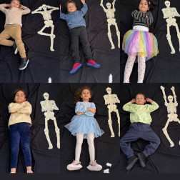 🦴 Vücudumuzu Keşfediyoruz