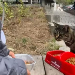 4 EKİM HAYVANLARI KORUMA GÜNÜ
