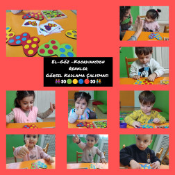 Dikkat – Denge – Koordinasyon