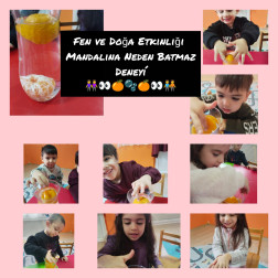 Fen ve Doğa Etkinliği