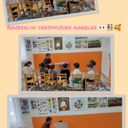 Rehberlik (PDR) Çalışması