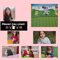 Makas Çalışması – İnce Motor Becerileri Geliştirme Etkinliği