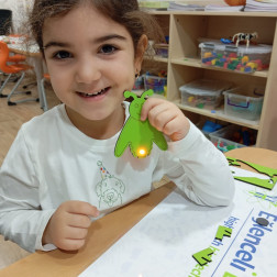 IŞILDAYAN HAYVANLAR DENEYİ