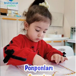 Fen ve Problem Çözme Becerilerini Destekleyen Etkinlik