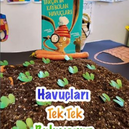 Hikâye Temelli Keşif: Havuçları Tek Tek Buluyoruz