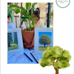 Doğayı Tanıyor, Ağaçları Keşfediyoruz