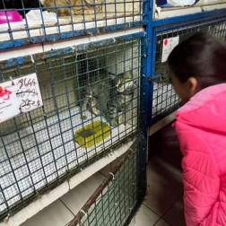 4 EKİM HAYVANLARI KORUMA GÜNÜ (MAMA KUMBARASI)