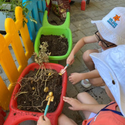 Doğayı Sevmek Toprağa Dokunmakla Başlar: Okulumuzun Sebze Bahçesi