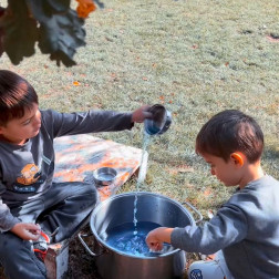 Aktarma Çalışması