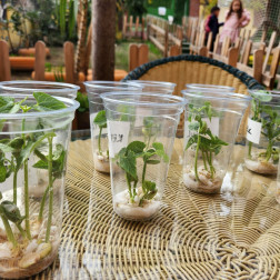 Ekoloji Çalışması