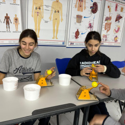 MANCINIKLARI ÇEEEEEEK VE BIRAK!