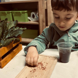 Tohumdan Hayata: Ekoloji Çalışmamız