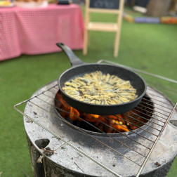 🐟 Balık Şenliği ile Renkli Bir Gün 🐟