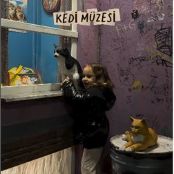 Kedi Müzesi’nde Merak Dolu Bir Keşif