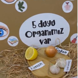 5 Duyumuzu Keşfediyoruz