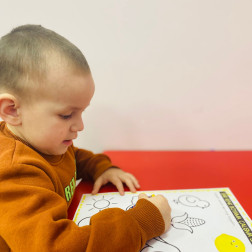 Sarı Rengini Tanıyorum!