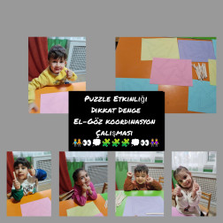 Puzzle – Dikkat ve Koordinasyon Çalışması