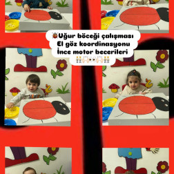Uğur Böceği – El Göz Koordinasyonu ve İnce Motor Becerileri