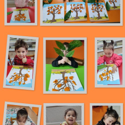 Duyusal Sanat – Mandalina Ağacı Çalışması