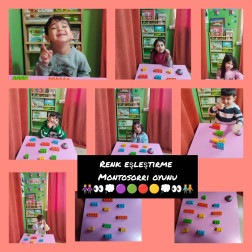 Montessori Renk Eşleştirme Oyunu