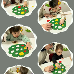 Montessori Elma Toplama Çalışması