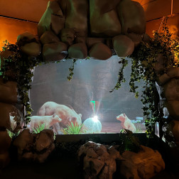 🌿 DigiZoo Keşif Gezimiz