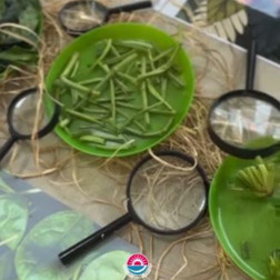 Doğayı Keşfediyoruz – Gözlem Etkinliği