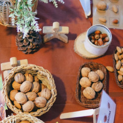 ALGORİTMA ÇALIŞMASI