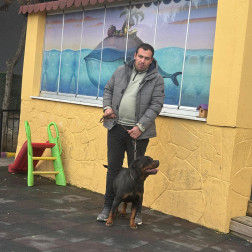 KÖPEK EĞİTİMİ VE CANKURTARAN EĞİTİMİ