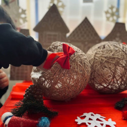 KARDANADAM TERARYUMU