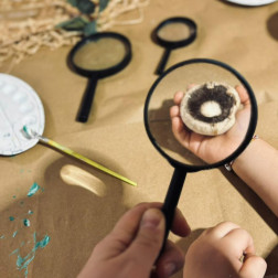 GEMS  ÇALIŞMASI ' MANTARLAR'