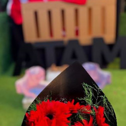 Cumhuriyetimize Saygı ve Minnetle