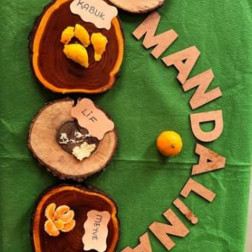 Mandalina ile Doğayı Keşfediyorum