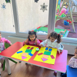 Geometrik şekil etkinliği