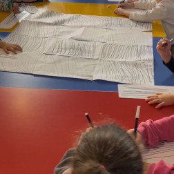 Çizgi Çalışması