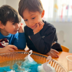 “Kuğular Neden Batmaz?” Deneyimiz