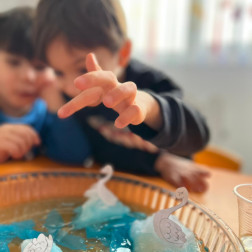 “Kuğular Neden Batmaz?” Deneyimiz