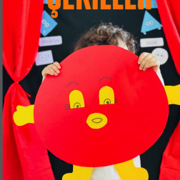 Şekilleri Tanıyoruz: Daire ile Eğlenceli Öğrenme