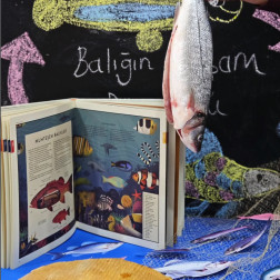 Balıkları Keşfediyoruz: Yaşayarak Öğrenme Etkinliğimiz