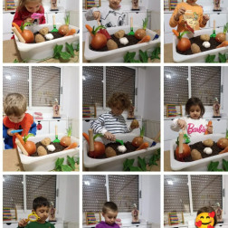 Toprakla Keşif Zamanı