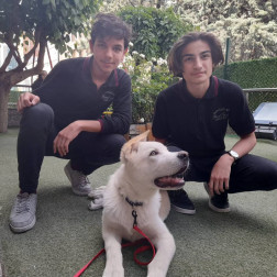 Okulumuzun Sevimli Dostu