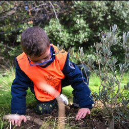 Doğada Keşif ve Dikim Çalışması