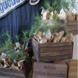 Minik Ellerle Fidan Dikimi: Geleceğe Nefes Oluyoruz