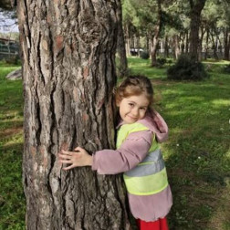 Doğayla Bağ Kuruyorum: Ağaçlara Sevgiyle Sarılıyoruz