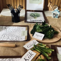 Doğal Boyalarla Keşif ve Sanat Atölyesi