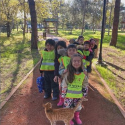Doğada Öğreniyoruz: Keşif Dolu Bir Yürüyüş
