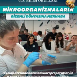 Mikroorganizmaların Gizemli Dünyasına Merhaba 🔬🧫