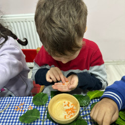 Ayıkla Pirincin Taşını: Sabırla Öğreniyorum 🧠🌾